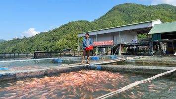 Tránh tư duy “lối mòn” trong phân bổ nguồn vốn phát triển vùng đồng bào dân tộc thiểu số và miền núi