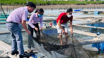 Sở Nông nghiệp và Phát triển nông thôn trả lời cử tri Hoàng Xuân Thụ, Phó Bí thư Thường trực Đảng ủy xã Quỳnh Xuân, thị xã Hoàng Mai về hỗ trợ, tập huấn cho người dân nuôi trồng thủy sản
