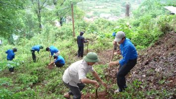 Sở Nông nghiệp và Phát triển nông thôn trả lời cử tri huyện Kỳ Sơn về giao rừng, gắn với giao đất và cấp giấy chứng nhận quyền sử dụng đất lâm nghiệp