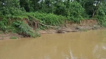 Bộ Nông nghiệp và Phát triển nông thôn trả lời kiến nghị cử tri về kinh phí thực hiện Dự án sửa chữa, nâng cấp đê Lương – Yên - Khai