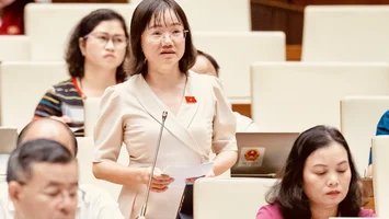 Đại biểu Quốc hội đoàn Nghệ An đề nghị sớm sửa luật để phòng, chống tác hại của thuốc lá điện tử