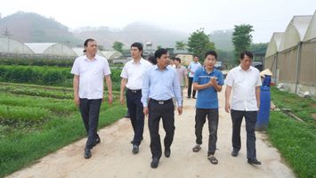 Đoàn giám sát HĐND tỉnh làm việc tại thị xã Thái Hòa về thực hiện các mục tiêu, chỉ tiêu kinh tế - xã hội