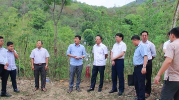 Một số giải pháp nhằm nâng cao chất lượng việc theo dõi thực hiện các kết luận, kiến nghị sau giám sát, chất vấn, giải trình của Hội đồng Nhân dân, Thường trực HĐND, các Ban HĐND
