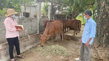 Quan tâm giải quyết kinh phí hỗ trợ thiệt hại do dịch tả lợn châu Phi và bệnh viêm da nổi cục ở trâu, bò cho người dân