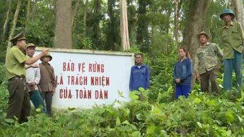 Cử tri kiến nghị về việc giao khoán đất rừng phòng hộ