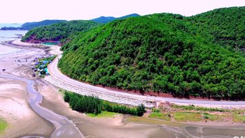 Bàn giao xong mặt bằng dự án đường ven biển đoạn Nghệ An trong tháng 8/2024