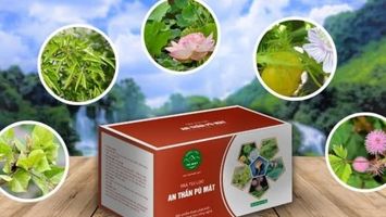 Sản phẩm OCOP Nghệ An ghi dấu ấn đậm nét
