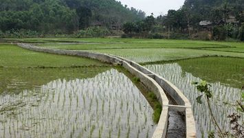 Sở Nông nghiệp và Phát triển nông thôn trả lời cử tri các xã Châu Phong, Châu Hội, huyện Quỳ Châu về sửa chữa các tuyến kênh mương bị sạt lở, hư hỏng