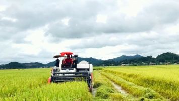 Sở Tài nguyên và Môi trường trả lời cử tri xã Tân Long, huyện Tân Kỳ về vướng mắc giữa Công ty Cổ phần nông nghiệp Sông Con và người dân