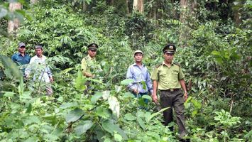 Bộ Nông nghiệp và Phát triển nông thôn trả lời kiến nghị cử tri về chế độ chính sách cho lực lượng chuyên trách bảo vệ rừng