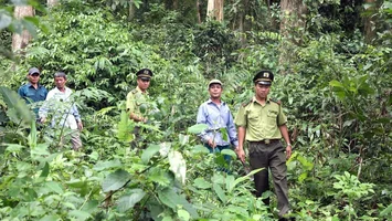 Bộ Nông nghiệp và Phát triển nông thôn trả lời kiến nghị cử tri về chế độ chính sách cho lực lượng chuyên trách bảo vệ rừng