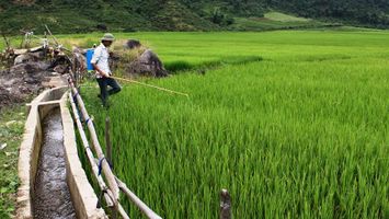 Sở Nông nghiệp và Phát triển nông thôn trả lời cử tri huyện Quế Phong về xây dựng các công trình hệ thống thủy lợi