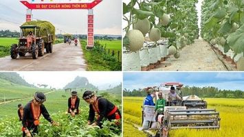 Cần khắc phục tình trạng đầu tư dàn trải
