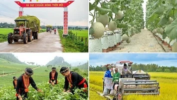 Cần khắc phục tình trạng đầu tư dàn trải