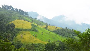 UBND tỉnh trả lời cử tri xã Lưu Kiền, huyện Tương Dương về xử lý dứt điểm tranh chấp địa giới hành chính giữa hai xã Lưu Kiền và Nậm Càn