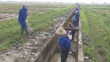 Sở Nông nghiệp và Phát triển nông thôn trả lời cử tri huyện Hưng Nguyên về việc nâng kinh phí cấp bù thủy lợi phí hàng năm