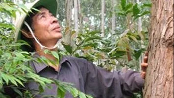 Lê Duy Nguyên - Người “phục dựng” những cánh rừng rú Xước