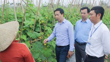 HĐND thị xã Thái Hoà trăn trở nâng cao chất lượng, hiệu quả hoạt động giám sát