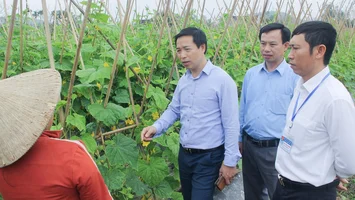 HĐND thị xã Thái Hoà trăn trở nâng cao chất lượng, hiệu quả hoạt động giám sát
