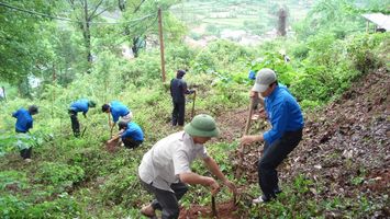 UBND tỉnh trả lời kiến nghị của cử tri huyện Tương Dương về chuyển mục đích sử dụng đất rừng phòng hộ sang đất ở