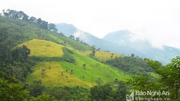 Quan tâm giải quyết dứt điểm tranh chấp địa giới hành chính giữa xã Mường Lống, huyện Kỳ Sơn và xã Nhôn Mai, huyện Tương Dương