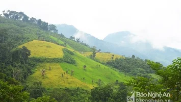 Quan tâm giải quyết dứt điểm tranh chấp địa giới hành chính giữa xã Mường Lống, huyện Kỳ Sơn và xã Nhôn Mai, huyện Tương Dương