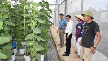 Trả lời kiến nghị cử tri xã Phúc Lộc về việc thu hồi và giao lại diện tích đất cho địa phương quản lý