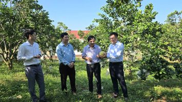 Đẩy mạnh phân cấp, tạo chủ động cho cấp xã trong triển khai thực hiện Chương trình mục tiêu quốc gia giảm nghèo bền vững
