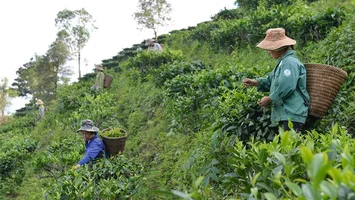 Phát triển ngành nghề nông thôn để thúc đẩy xây dựng nông thôn mới