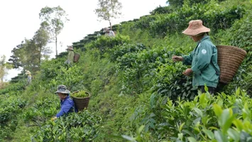 Phát triển ngành nghề nông thôn để thúc đẩy xây dựng nông thôn mới