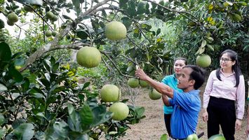 Vốn tín dụng chính sách xã hội - góp phần giảm nghèo, thoát bẫy “tín dụng đen”