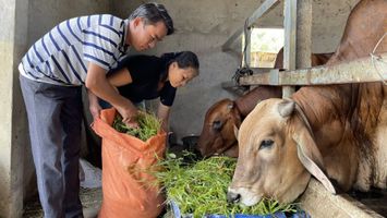Huy động và sử dụng có hiệu quả nguồn vốn Chương trình mục tiêu quốc gia giảm nghèo