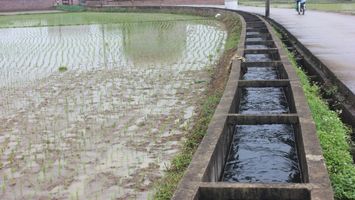 Cử tri xã Nam Thanh kiến nghị tăng hỗ trợ sản xuất nông nghiệp và đầu tư công trình thủy lợi
