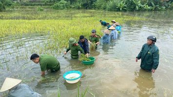Thủ tướng yêu cầu phải thần tốc hơn nữa, huy động tối đa lực lượng khắc phục nhanh nhất hậu quả bão, mưa lũ