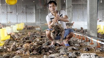 Các địa phương khẩn trương hoàn thiện hồ sơ chính sách hỗ trợ người dân bị ảnh hưởng do thiên tai
