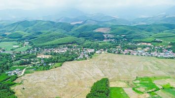 UBND tỉnh trả lời kiến nghị xã Châu Bình về việc chuyển đổi đất rừng khoanh nuôi tại Bù Đô