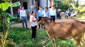 Phân bổ, điều chỉnh phân bổ vốn thực hiện 3 Chương trình mục tiêu quốc gia trên địa bàn tỉnh Nghệ An