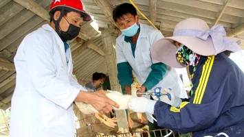 Nghệ An: ban hành mức hỗ trợ khắc phục dịch bệnh động vật
