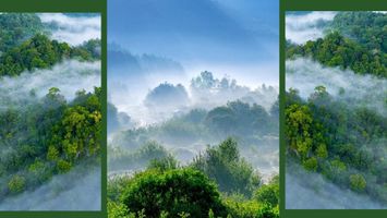 Tư duy hệ thống và sứ mệnh bảo vệ hệ sinh thái