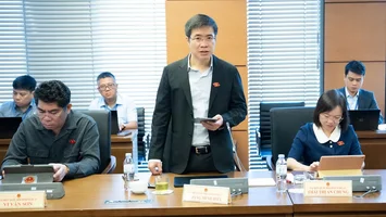 Đồng bộ chính sách quản lý môi trường, khai thác, sử dụng tài nguyên rừng hiệu quả