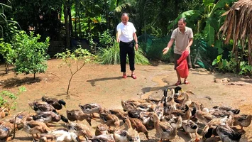 Giảm nghèo từ những mô hình sinh kế