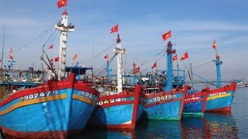 Bộ Tài chính trả lời kiến nghị cử tri về chính sách bảo hiểm cho đối tượng là thuyền viên, ngư dân và bảo hiểm thân vỏ tàu