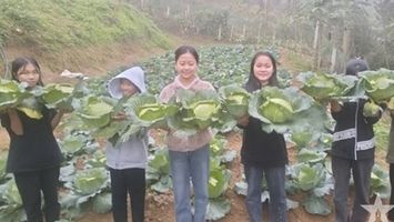 Trường học vùng biên Nghệ An giúp dân xóa đói, giảm nghèo