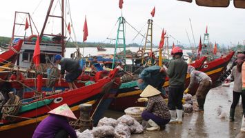 Sở Kế hoạch và Đầu tư trả lời kiến nghị cử tri huyện Diễn Châu về dự án Cải tạo, nâng cấp cơ sở hạ tầng nghề cá tại khu vực Lạch Vạn