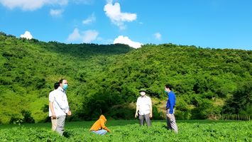 Đề án 07 – khơi dậy nội lực, thoát nghèo bền vững ở huyện Tương Dương