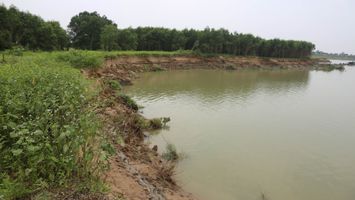 Sở Tài nguyên và Môi trường trả lời kiến nghị cử tri huyện Nam Đàn về giải pháp chống sạt lở đất trong quá trình khai thác cát ven sông Lam