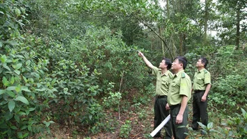 UBND tỉnh trả lời kiến nghị cử tri huyện Yên Thành về thực trạng công tác quản lý, bảo vệ rừng đặc dụng