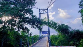 UBND tỉnh trả lời kiến nghị của cử tri huyện Nghĩa Đàn về đầu tư xây dựng cầu cứng thay thế cầu treo Bến Mươi
