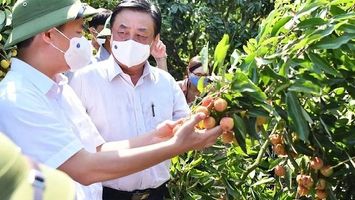 Từ cán bộ nghị quyết đến cán bộ thực chiến
