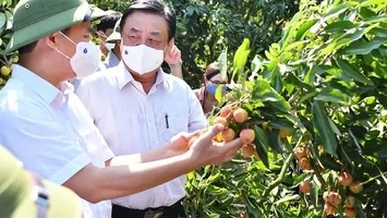 Từ cán bộ nghị quyết đến cán bộ thực chiến